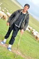 Herder met Gat in Broek